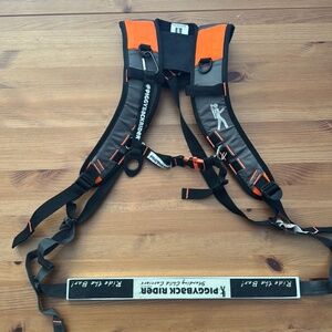 Piggyback Rider Toddler and Child Carrier